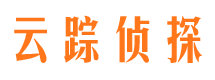 理塘侦探公司